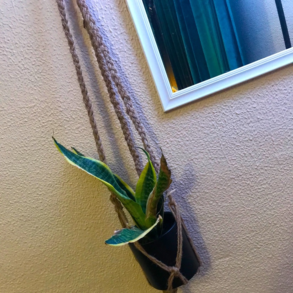Homemade Macrame Plant Hanger